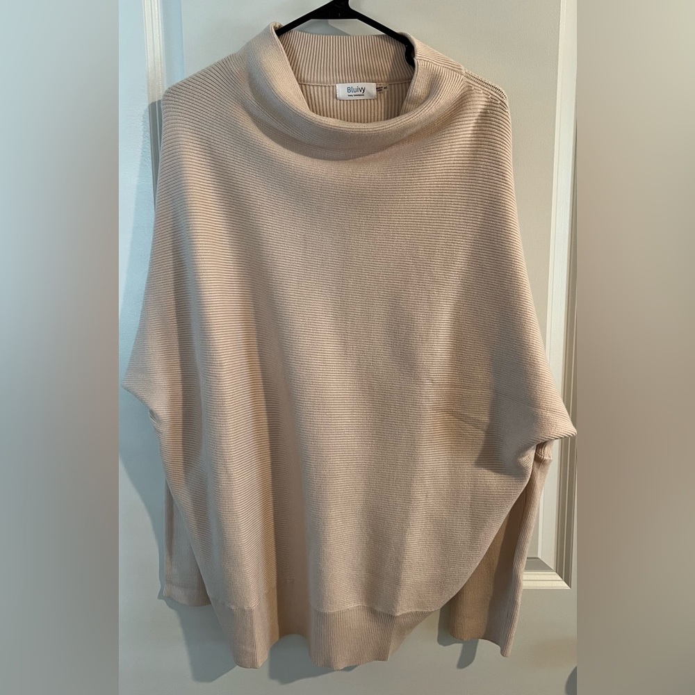 Blueivy sweater